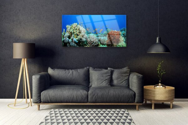 Tablou pe sticla Coral Reef Natura Multi