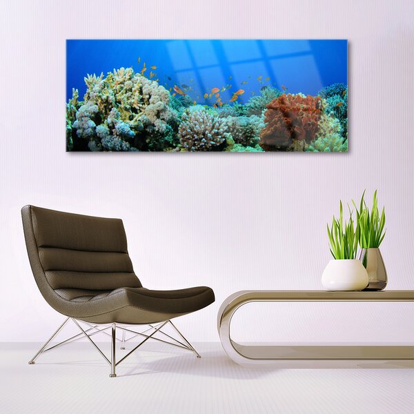 Tablou pe sticla Coral Reef Natura Multi
