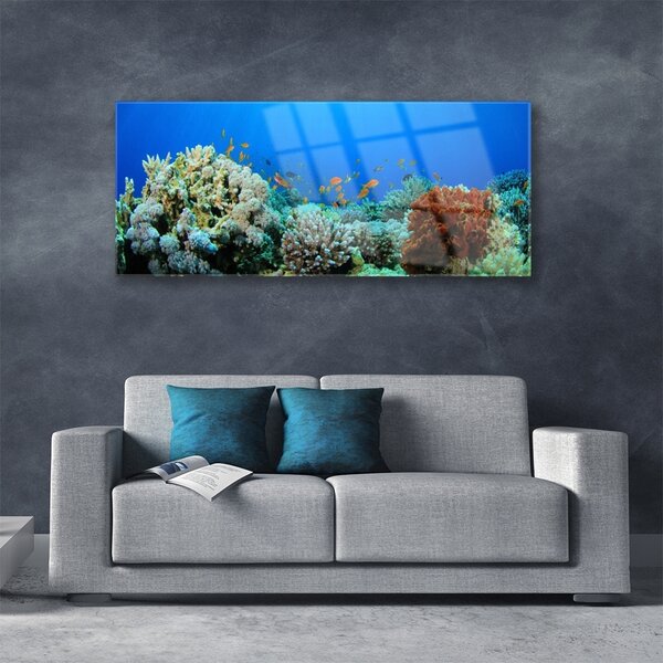 Tablou pe sticla Coral Reef Natura Multi