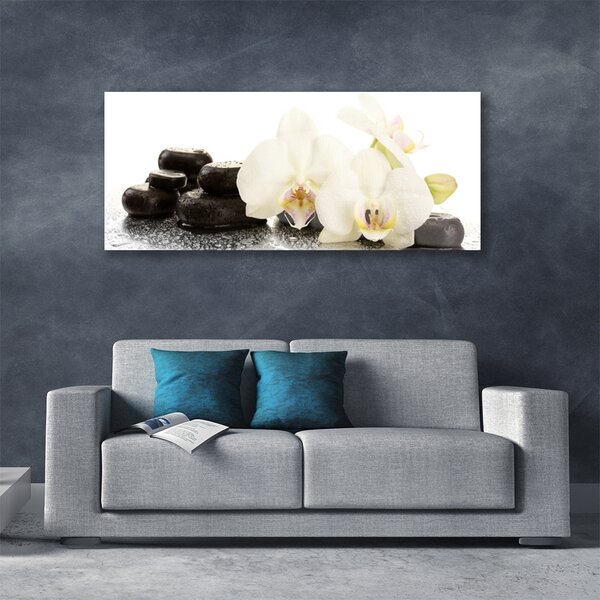 Tablou pe sticla Pietre florale flori alb negru