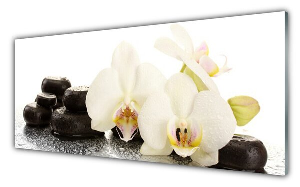 Panou sticla bucatarie Pietre florale flori alb negru