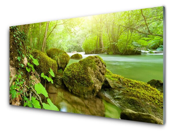 Panou sticla bucatarie Lacul Pietrele Natura verde