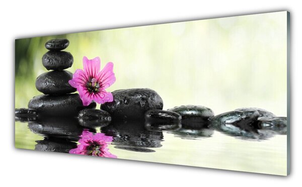 Tablou pe sticla Pietrele de flori Arta roz negru