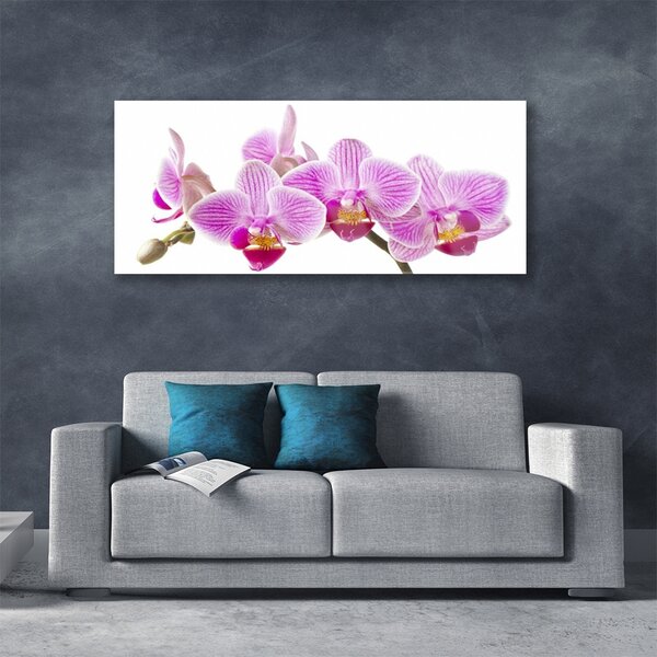Tablou pe sticla Flori roz Floral