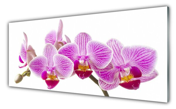 Tablou pe sticla Flori roz Floral
