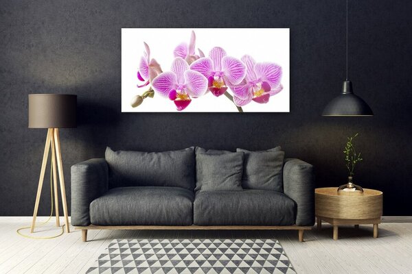 Tablou pe sticla Flori roz Floral