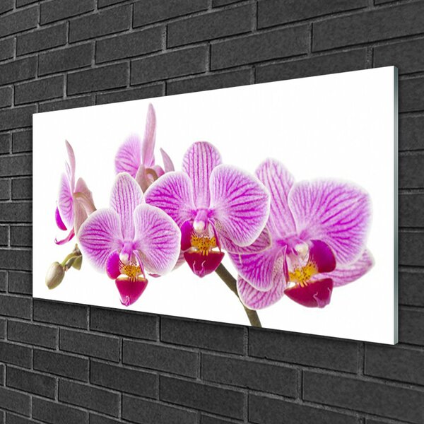 Tablou pe sticla Flori roz Floral