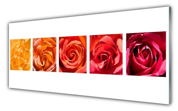 Tablou pe sticla Trandafiri Floral Galben Portocaliu Roșu