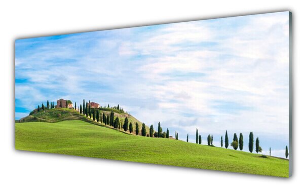 Tablou pe sticla Meadow Copaci Peisaj verde