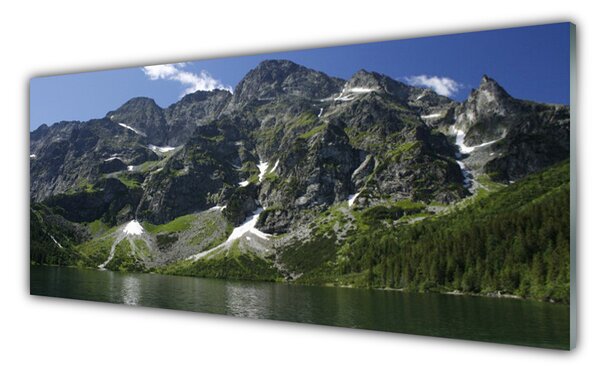 Tablou pe sticla Munții Lake Forest Peisaj Verde Gri