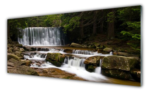 Tablouri acrilice Cascada Pădure Natura Alb Gri Maro Verde