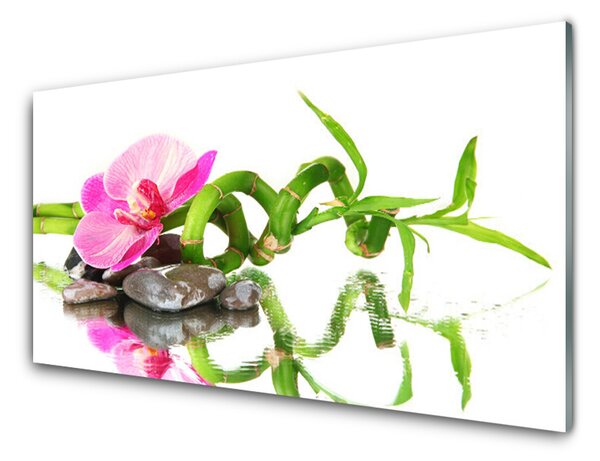 Panou sticla bucatarie Bamboo flori Stones Arta Verde Roz Gri