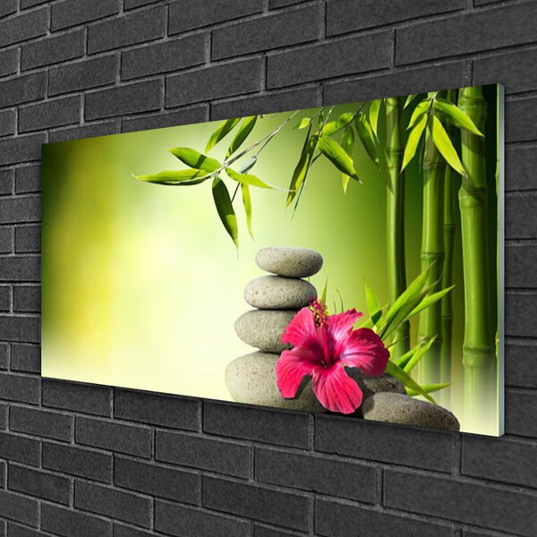 Tablou pe sticla Bamboo Tub flori Stones Floral Verde Roșu Gri