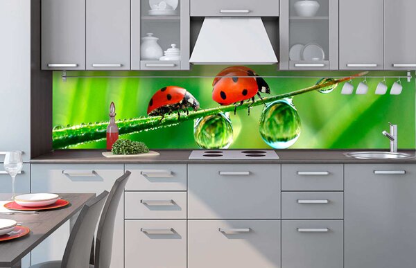 Fototapet pentru bucătărie - buburuză 260 x 60 cm