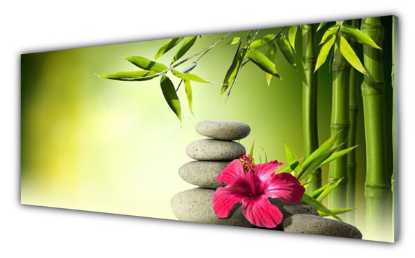 Tablou pe sticla Bamboo Tub flori Stones Floral Verde Roșu Gri
