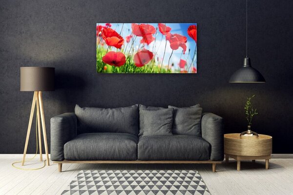 Tablou pe sticla Poppy Iarbă Natura Roșu Verde