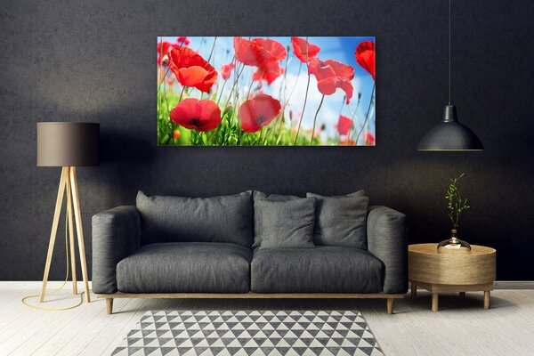 Tablou pe sticla Poppy Iarbă Natura Roșu Verde