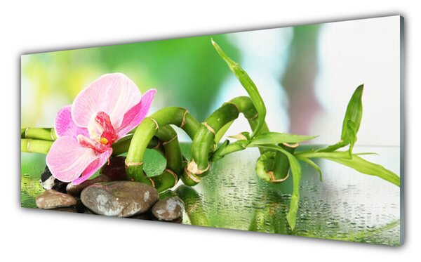 Tablou pe sticla Bamboo Peduncul flori Stones Natura Verde Roz Gri