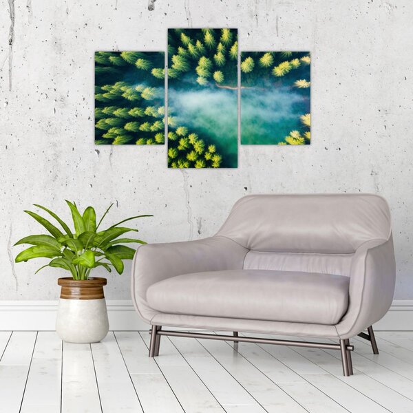 Tablou - O pădure învăluită în ceață (90x60 cm)