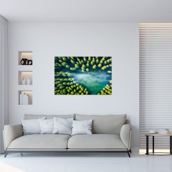 Tablou - O pădure învăluită în ceață (90x60 cm)