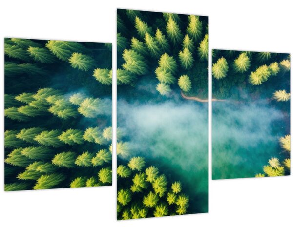 Tablou - O pădure învăluită în ceață (90x60 cm)