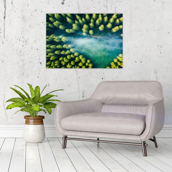Tablou - O pădure învăluită în ceață (70x50 cm)