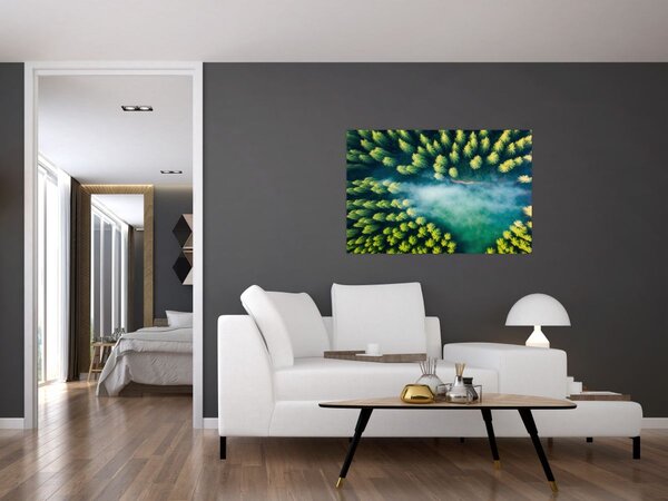 Tablou - O pădure învăluită în ceață (90x60 cm)