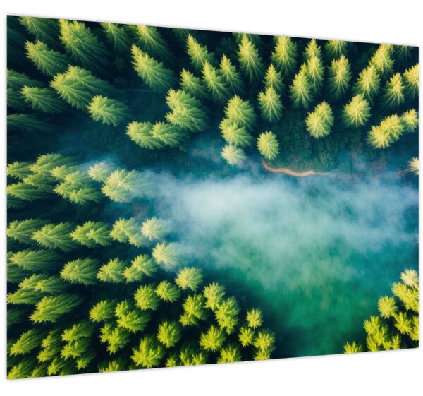 Tablou - O pădure învăluită în ceață (70x50 cm)