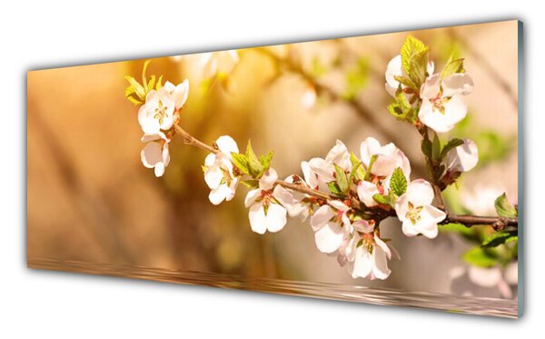 Tablou pe sticla Flori Floral alb