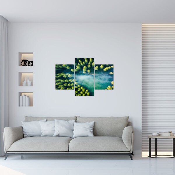 Tablou - O pădure învăluită în ceață (90x60 cm)