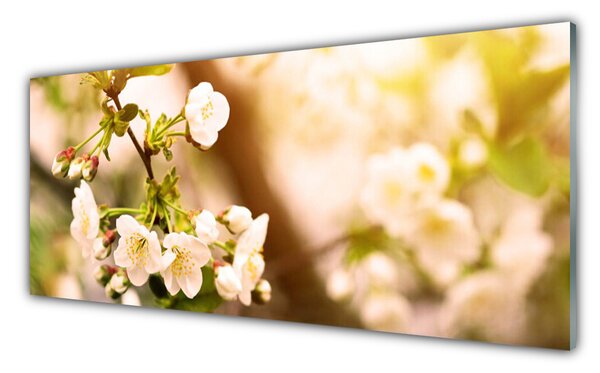 Tablou pe sticla Flori Floral alb