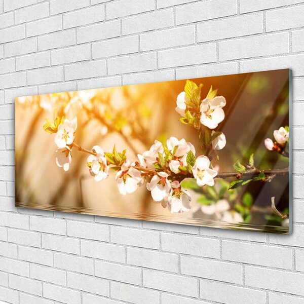 Tablou pe sticla Flori Floral alb