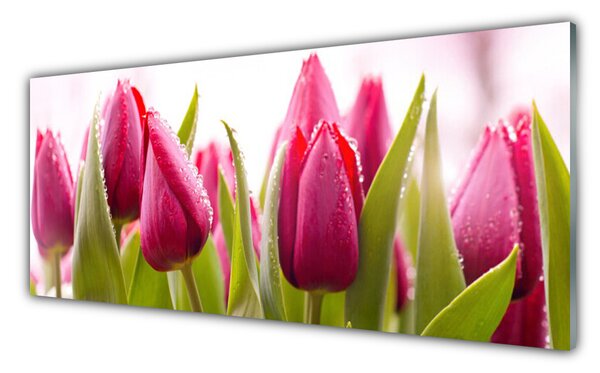 Tablou pe sticla Lalele Floral Red
