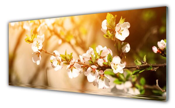 Tablou pe sticla Flori Floral alb