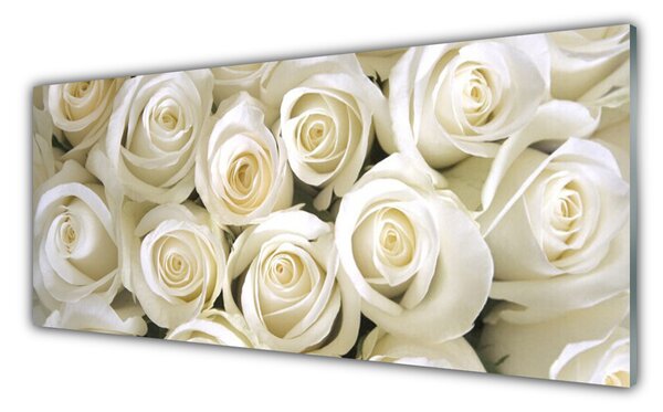 Tablou pe sticla Trandafiri Floral Alb