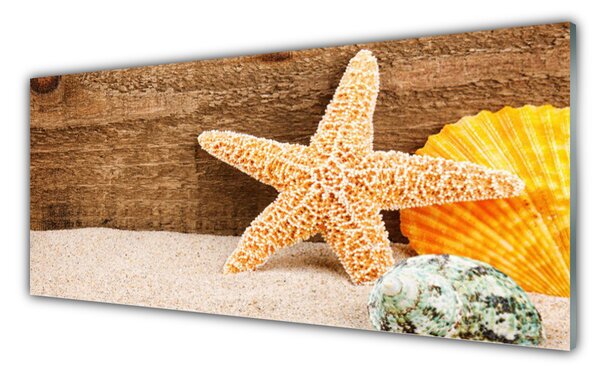 Tablou pe sticla Scoici nisip seastar Art Brun Galben Gri