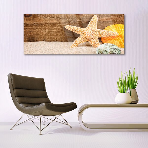 Tablou pe sticla Scoici nisip seastar Art Brun Galben Gri