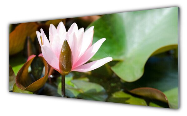 Tablou pe sticla Florale flori roz