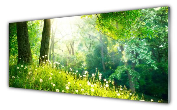 Tablouri acrilice Meadow Natura verde