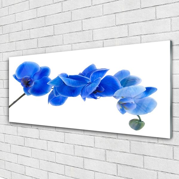 Tablou pe sticla Flower Floral Albastru