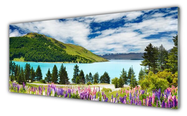 Tablou pe sticla Mountain Forest Meadow Lake Peisaj Verde Albastru Violet Roz