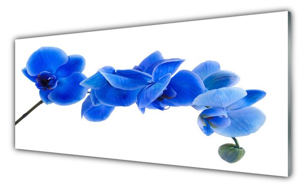 Tablou pe sticla Flower Floral Albastru