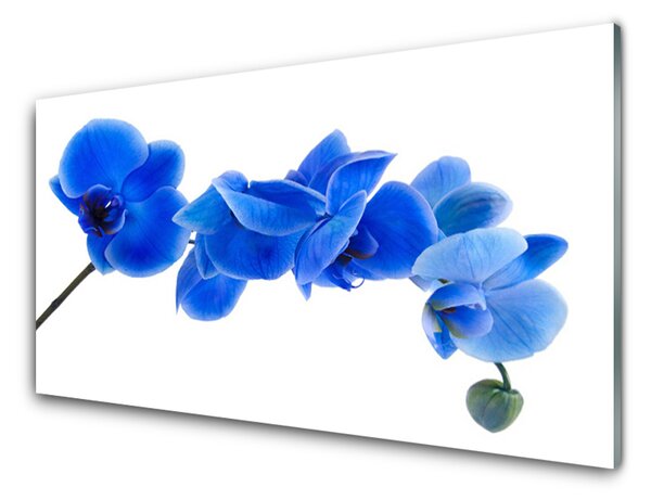 Tablou pe sticla Flower Floral Albastru