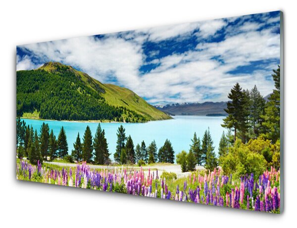 Tablouri acrilice Mountain Forest Meadow Lake Peisaj Verde Albastru Violet Roz