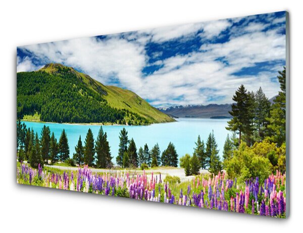 Tablou pe sticla Mountain Forest Meadow Lake Peisaj Verde Albastru Violet Roz