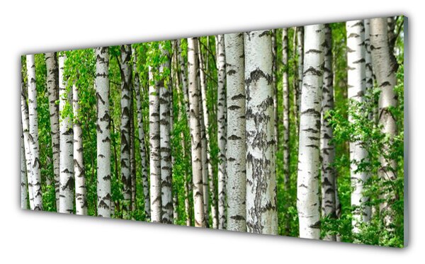 Tablou pe sticla Natural Pădurea Neagră Alb Verde