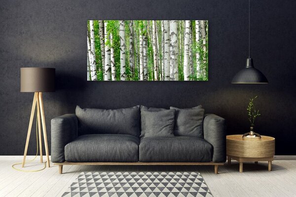 Tablou pe sticla Natural Pădurea Neagră Alb Verde