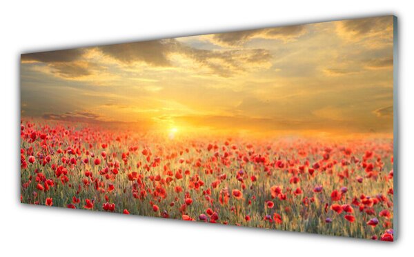 Panou sticla bucatarie Sun Meadow Poppy Flori Natura Galben Roșu Verde