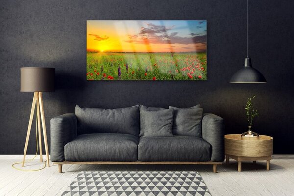 Tablou pe sticla Soare Meadow Flori Natura Galben Verde Roșu Violet