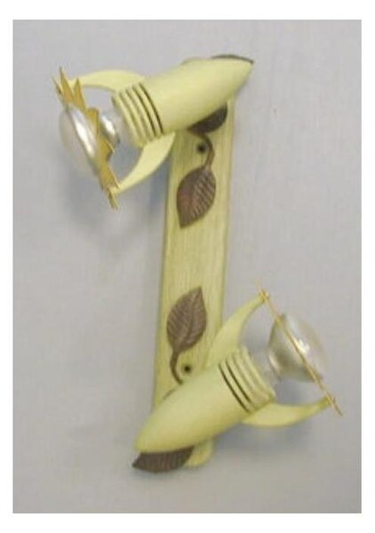 EGLO 23247 - Lampa spot GIRASOLE 2xE14/40W